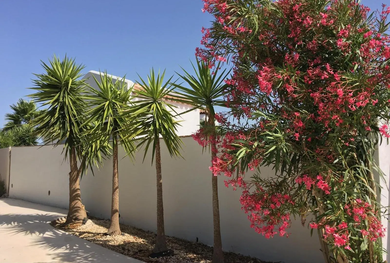 Casa Rural Elena Roche Viejo Solo Familias Y Parejas